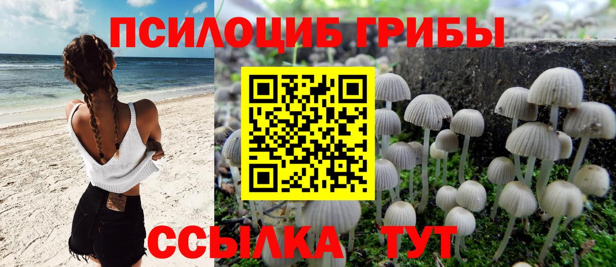Галлюциногенные грибы Psilocybine cubensis  Галлюциногенные грибы ЛСД  Вход с VPN  Норильск 